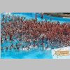 splash_102.jpg