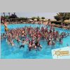 splash_191.jpg